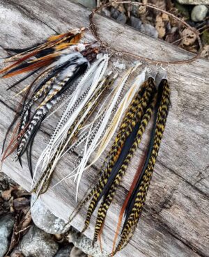 Feather Earrings